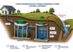 Аэробокс 7 Био