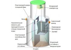 Панда Кинг 6